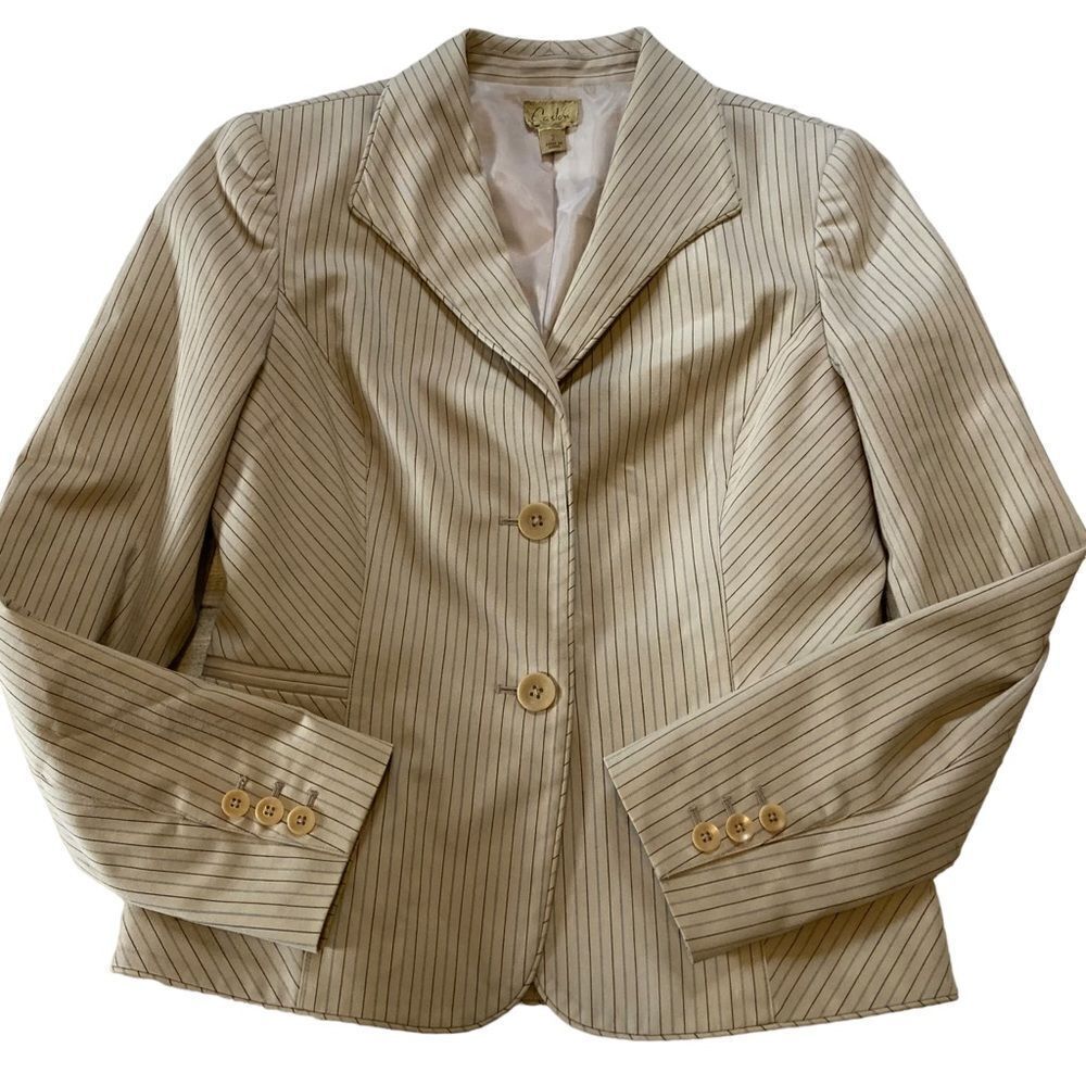 Caslon Tan Pinstripe Blazer Jacket Size 2 Tailored Career Neutral Work Jacket - Picture 9 of 12